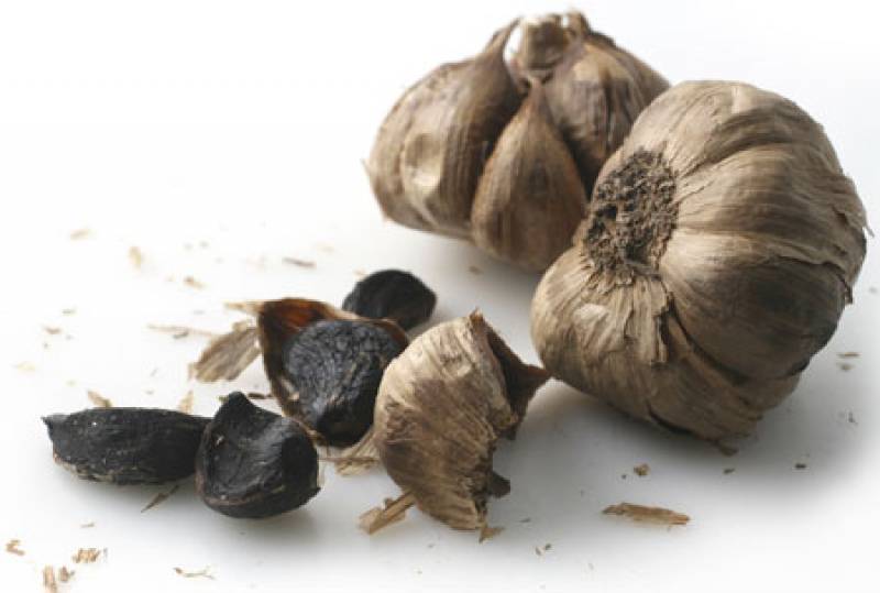 Πρωτότυπη μονάδα παραγωγής μαύρου σκόρδου