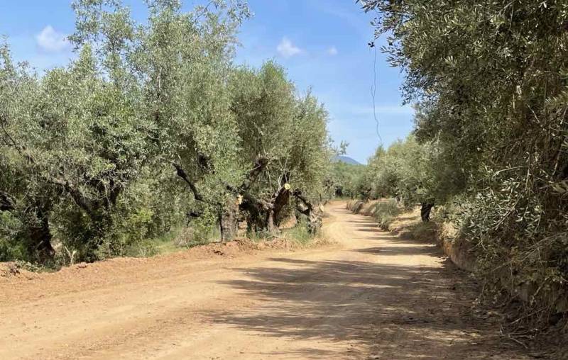 Εργασίες ασφαλτόστρωσης στον δρόμο Μυρτοποταμιάς