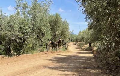 Εργασίες ασφαλτόστρωσης στον δρόμο Μυρτοποταμιάς