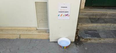 Νερό για τα αδέσποτα σε σημεία της Καλαμάτας