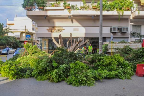 Εκοψαν δέντρο στην Ακρίτα για την αμφιδρόμηση της Βασ. Γεωργίου (βίντεο)