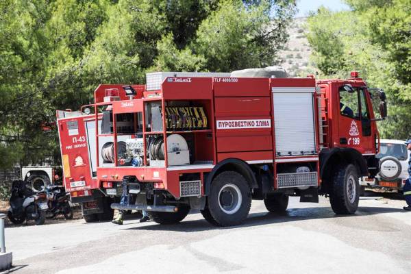 Αρκαδία: Μεγάλη πυρκαγιά κοντα στη ΔΕΗ Μεγαλόπολης