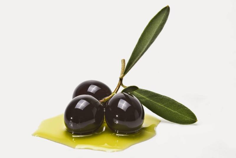 Ομιλία για τη διατροφή και το ελαιόλαδο στην αρχαιότητα