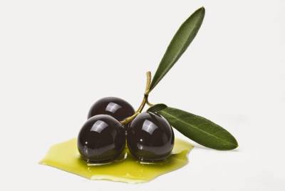 Ομιλία για τη διατροφή και το ελαιόλαδο στην αρχαιότητα