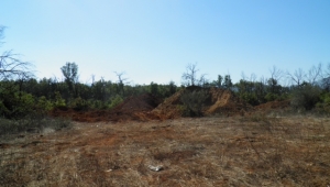 Ο Π. Βαλασόπουλος στους χώρους που πετούσαν παράνομα σκουπίδια στη Μεγαλόπολη