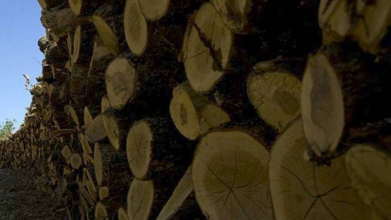 Εκτοξεύτηκαν οι τιμές στα ξύλα - Από 120 έως 200 ευρώ το κυβικό (βίντεο)