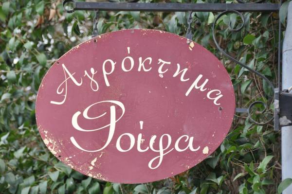 Συνεχίζονται τα σεμινάρια παραδοσιακής και φυσικής καλλιέργειας το Αγρόκτημα "Φοίφα"