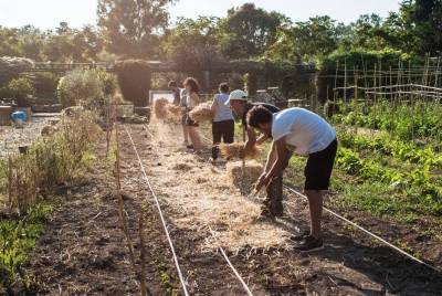 Εξαπλώνονται τα πάρκα τσέπης σε όλη την Ελλάδα φέρνοντας διεθνείς διακρίσεις