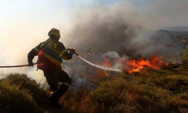 Πυρκαγία στο Δεσύλλα Μεσσηνίας