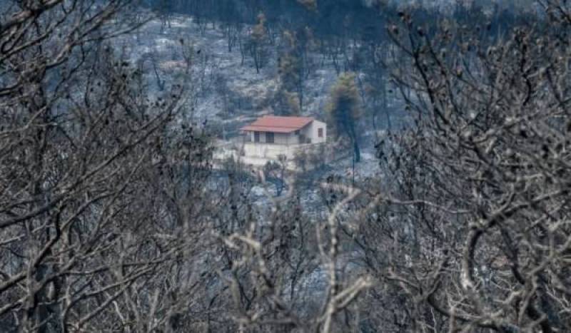 Μεσσηνία: Πριν τα Χριστούγεννα η δεύτερη δόση αποζημίωσης ΕΛΓΑ σε πυρόπληκτους