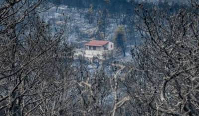 Μεσσηνία: Πριν τα Χριστούγεννα η  δεύτερη δόση αποζημίωσης ΕΛΓΑ σε πυρόπληκτους