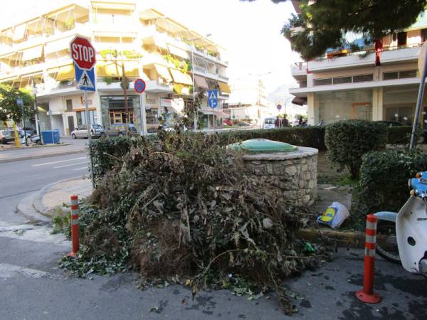 Επιχείρηση κλαδέματος