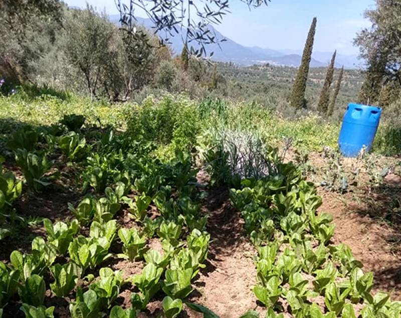 Προτάσεις ΣΥΡΙΖΑ για στήριξη αγροτικού τομέα