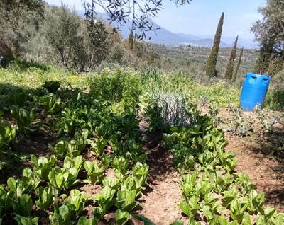 Προτάσεις ΣΥΡΙΖΑ για στήριξη αγροτικού τομέα