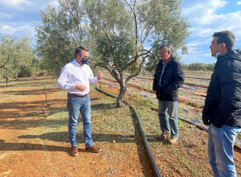 Αποζημίωση για το χαλάζι στην Τριφυλία ζητεί ο Μαντάς