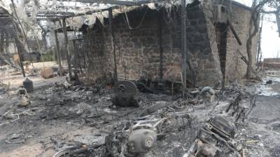 Δίκη για το Μάτι - Λιότσιος: Υπήρχαν σχέδια των Δήμων για απομάκρυνση πληθυσμού, όμως η εισήγηση δεν έγινε ποτέ