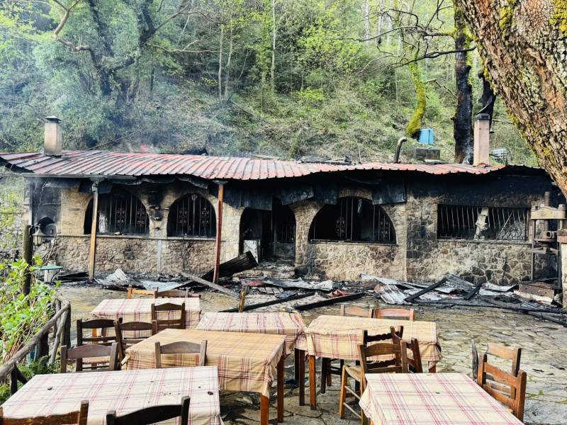 Μεσσηνία: Μεγάλη πυρκαγιά στην ταβέρνα "Κούπιτσα" στον Ταΰγετο