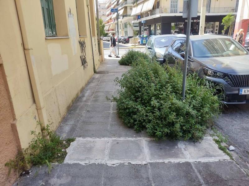 Χορτάρια στο κέντρο της πόλης