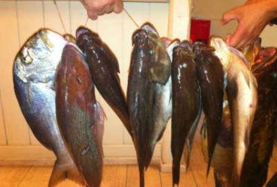 Καλαμάτα: 1.000 μερίδες ψαρόσουπα καλαματιανή στο πάρκο του “Πανελληνίου”