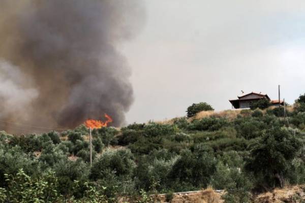 Υψηλός κίνδυνος πυρκαγιάς σήμερα στη Μεσσηνία