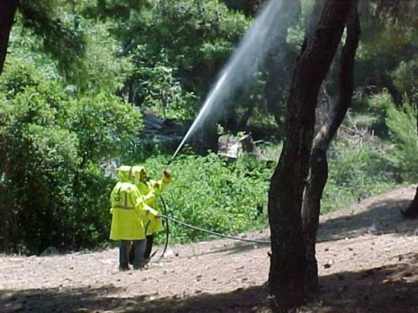 Ιμιτασιόν πολιτική και πολιτικοί  βουλιάζουν τη Μεσσηνία