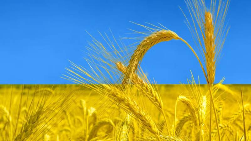 Ουκρανία: Εξήγαγε 1.000.000 τόνους σιτηρών τον Απρίλιο σε πείσμα του πολέμου