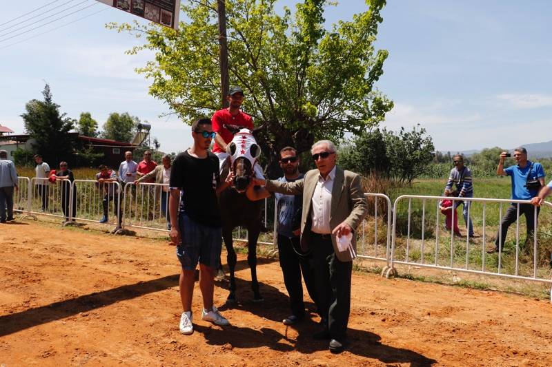 Μεσσηνία: Ο “Αθήρ Ντουμπάι” νικητής στις ιπποδρομίες στο Πλατύ (βίντεο-φωτογραφίες)