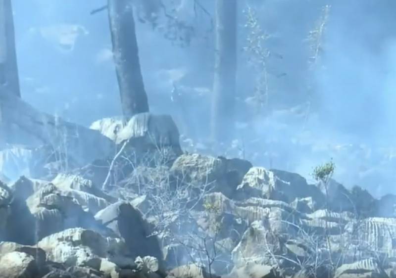 Ξεκίνησε από την Περιφέρεια Πελοποννήσου η καταγραφή ζημιών στις πυρόπληκτες περιοχές