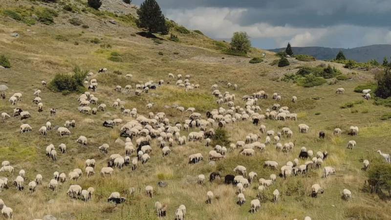 Eξεταστική επιτροπή από την ίδρυση του ΟΠΕΚΕΠΕ έως σήμερα προτείνει η ΝΔ (βίντεο)