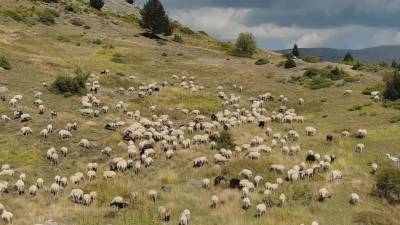 Eξεταστική επιτροπή από την ίδρυση του ΟΠΕΚΕΠΕ έως σήμερα προτείνει η ΝΔ (βίντεο)