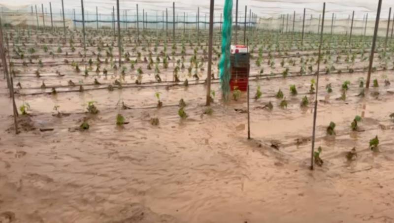 Μεσσηνία: Υπερχείλισε η Νέδα στην Ελαία - Πλημμύρισαν καλλιεργήσιμες εκτάσεις (βίντεο)