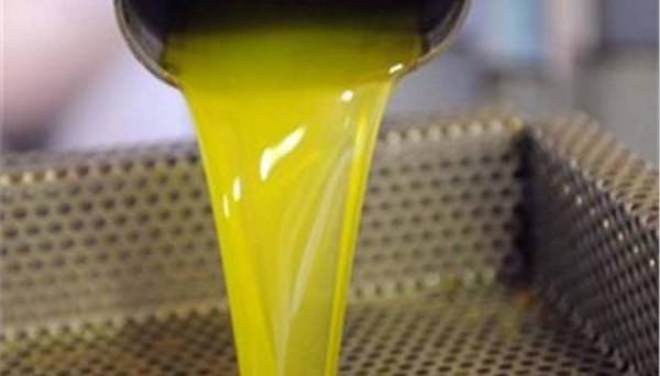 Μεσσηνία: 3,22 ευρώ το κιλό για 95 τόνους ελαιολάδου