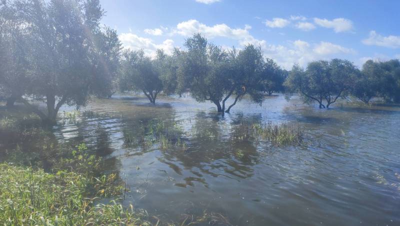 Τριφυλία: Σε λίμνη μετατράπηκε έκταση μεταξύ Ελαίας και Άη Γιαννάκη (βίντεο)