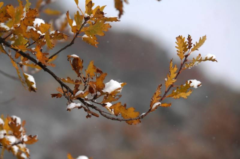 Παγωνιά σε όλη τη χώρα - Πού άγγιξε τους -5 βαθμούς Κελσίου το θερμότερο (Βίντεο)