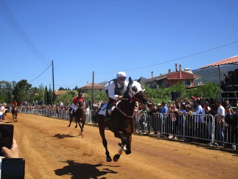 Μεσσηνία: Ο ίππος “Πόμερολ” κέρδισε τις φετινές ιπποδρομίες στο Πλατύ (βίντεο-φωτογραφίες)