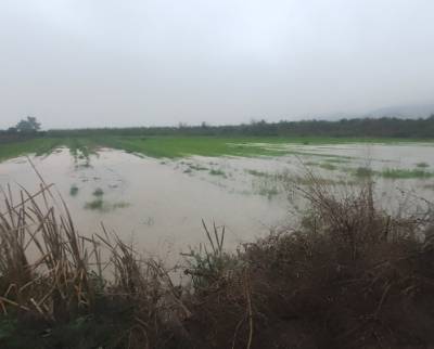 Κινδυνεύουν να πλημμυρίσουν κτήματα στη Μικρομάνη