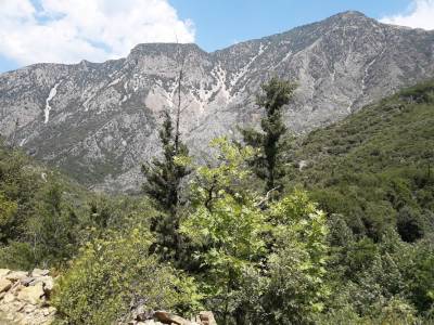 Μάστερ πλαν για τουρισμό προτείνει ο Μάκαρης