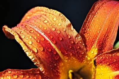 Tα ζώδια σήμερα 11 Ιουνίου