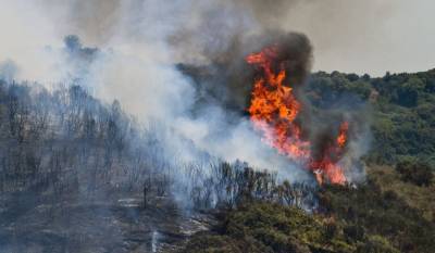 Αχαΐα: Σύλληψη άνδρα για πρόκληση 7 πυρκαγιών απο πρόθεση στην Ακράτα