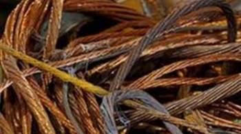 Ανήλικος τσιγγάνος έκλεβε μεταλλικά αντικείμενα από οικόπεδο στην Τραπεζοντή Λακωνίας