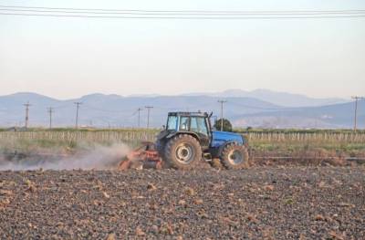 Λιγότερα προϊόντα από το 2000 η Μεσσηνία - Σύμφωνα με το πραγματικό ΑΕΠ