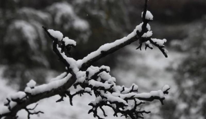 Καιρός: Παγετός στα βόρεια και στα κεντρικά της χώρας
