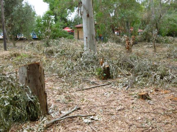 Συνεργασία για τη συντήρηση του πάρκου στο Αλμυρό