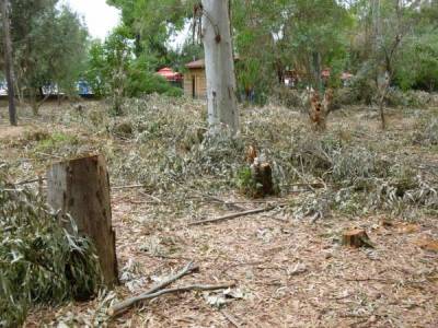 Συνεργασία για τη συντήρηση του πάρκου στο Αλμυρό