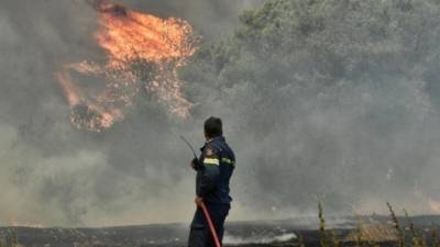 Πάτρα: Πώς η μεγάλη φωτιά άλλαξε τη βλάστηση και το μικροκλίμα