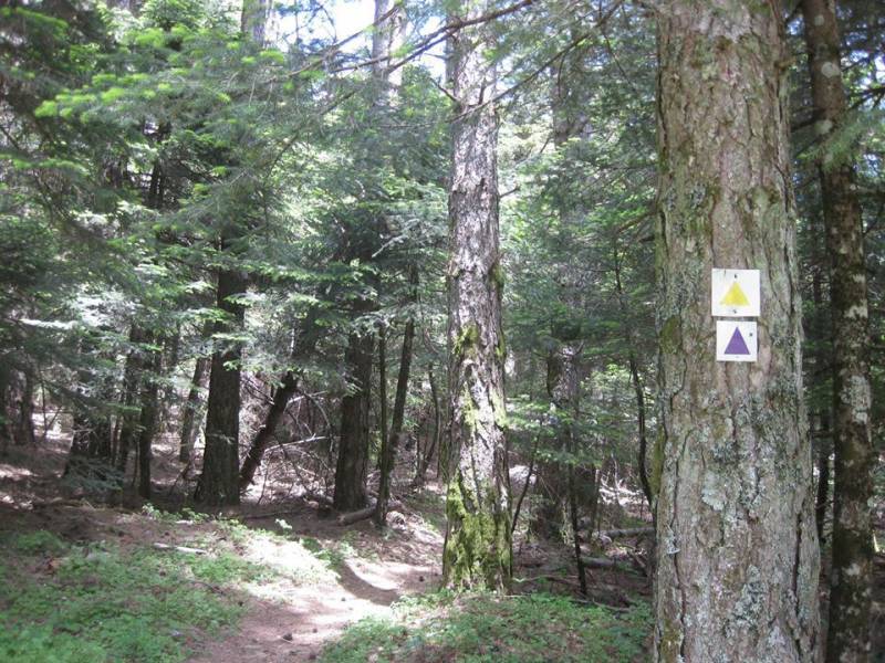 Ψήφισμα Μάκαρη για περιβαλλοντικό νομοσχέδιο