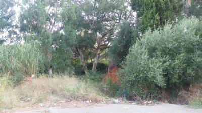 Μάκαρης για κίνδυνο πυρκαγιάς στην Πλάκα