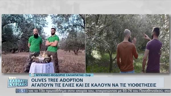 Δύο ρομαντικοί από την Αργολίδα μαθαίνουν στον κόσμο πώς βγαίνει το λάδι (βίντεο)