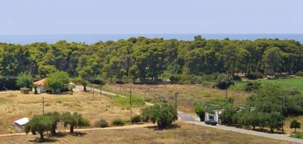 Σύλληψη Γάλλου για λαθραίο καπνό στην Ελαία