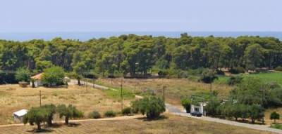 Σύλληψη Γάλλου για λαθραίο καπνό στην Ελαία